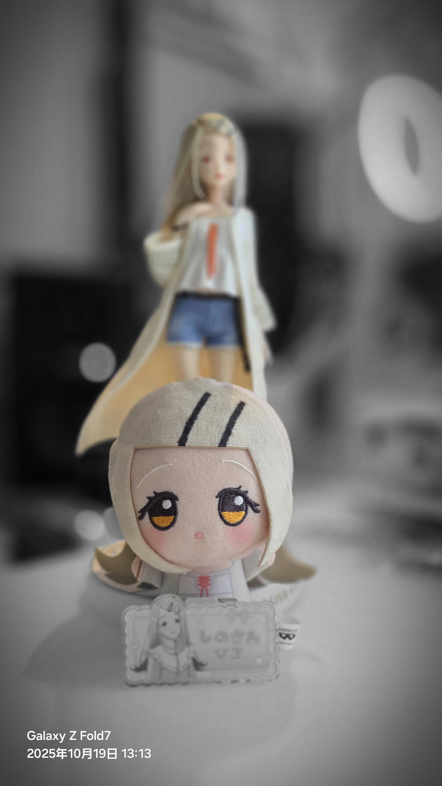 ぬいの写真 1