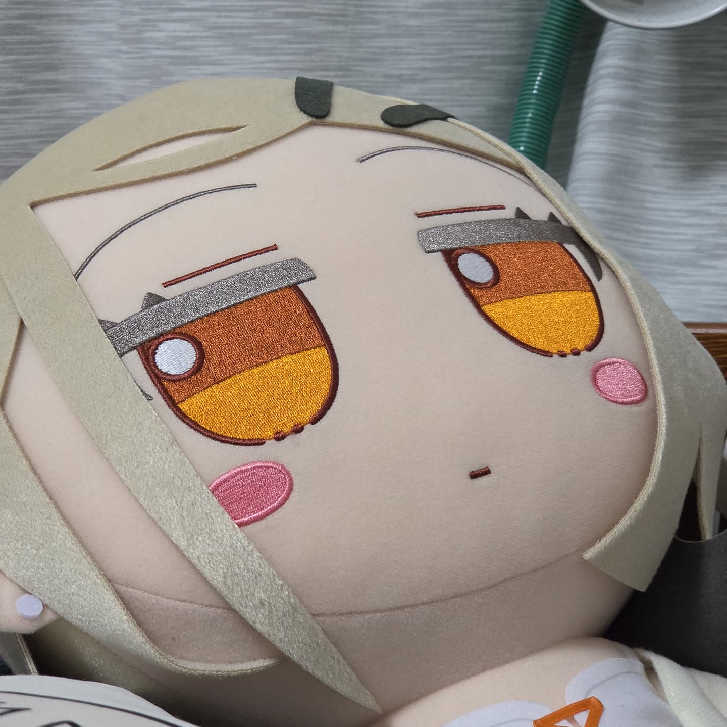 ぬいの写真 3