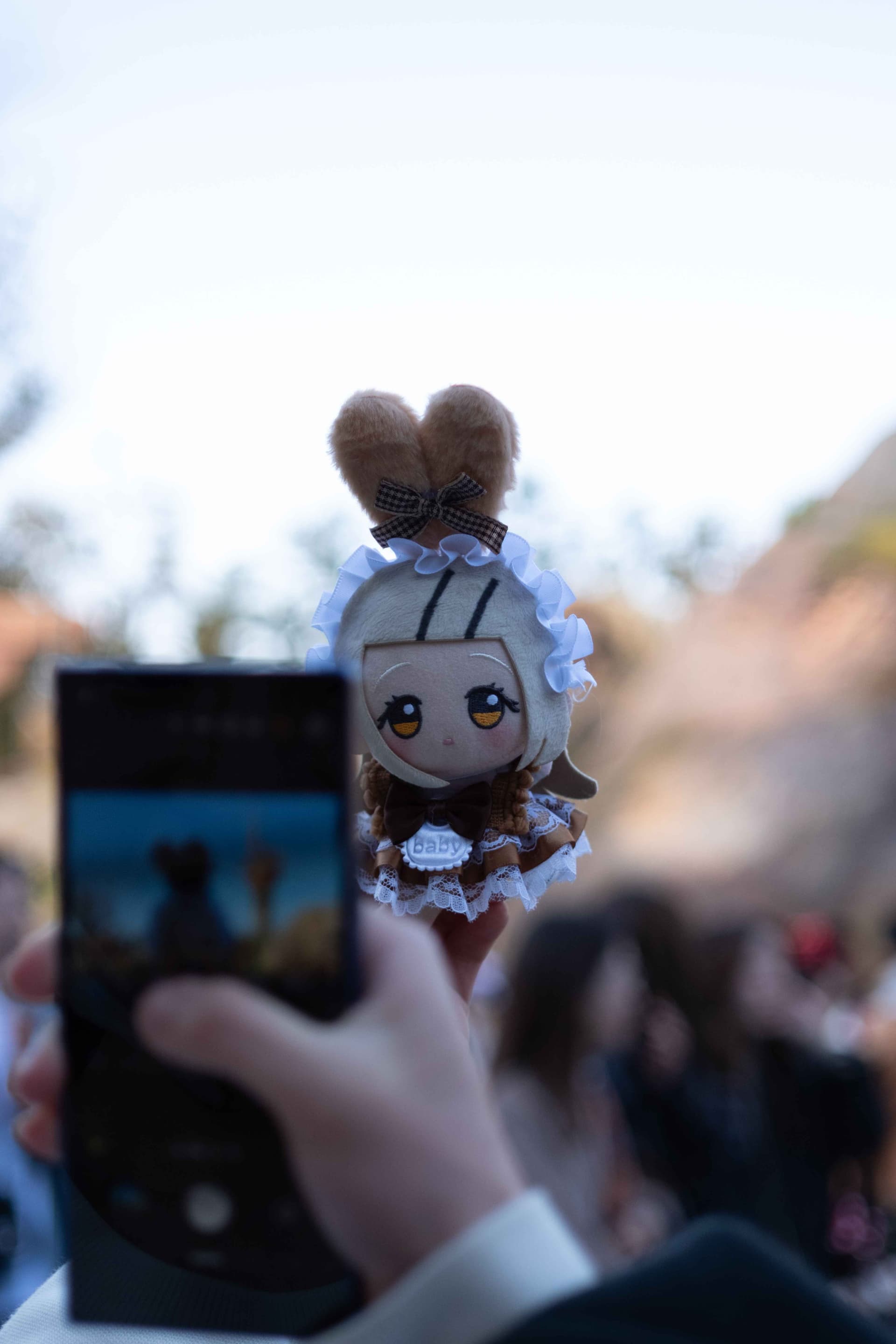 ぬいの写真 5