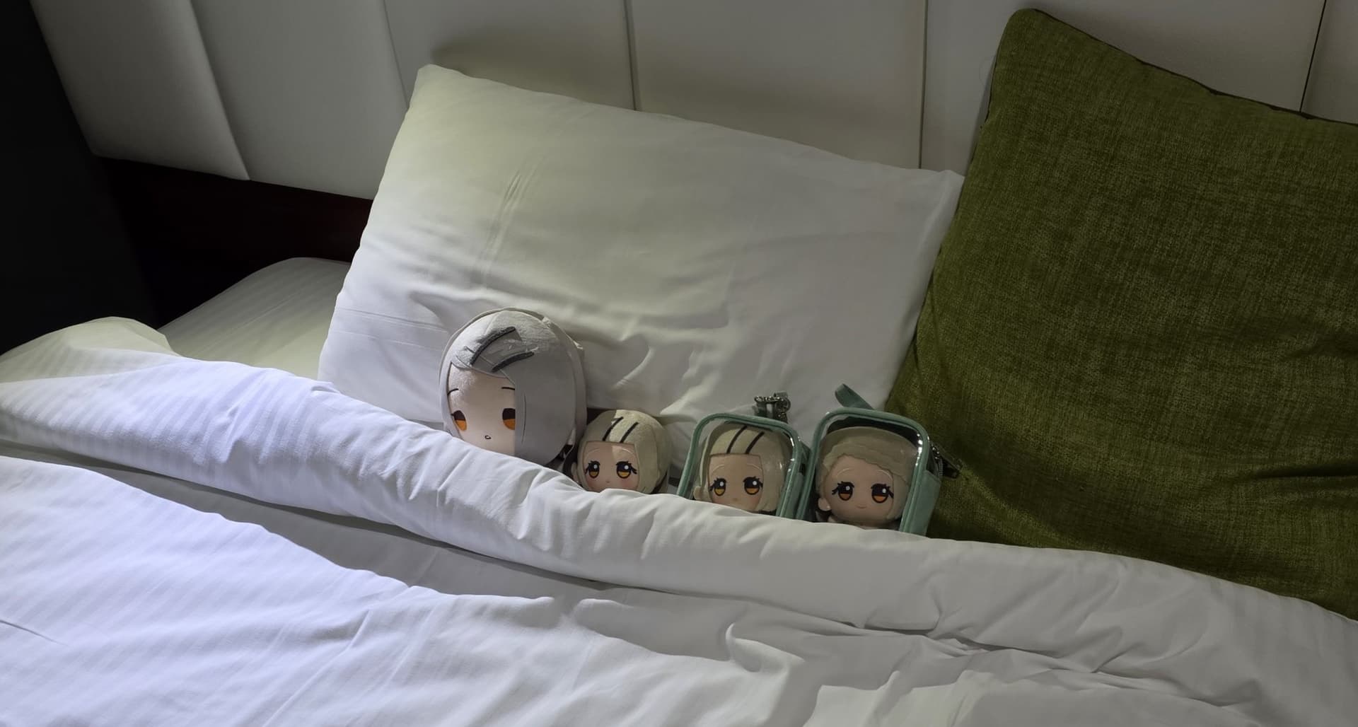 ぬいの写真 12