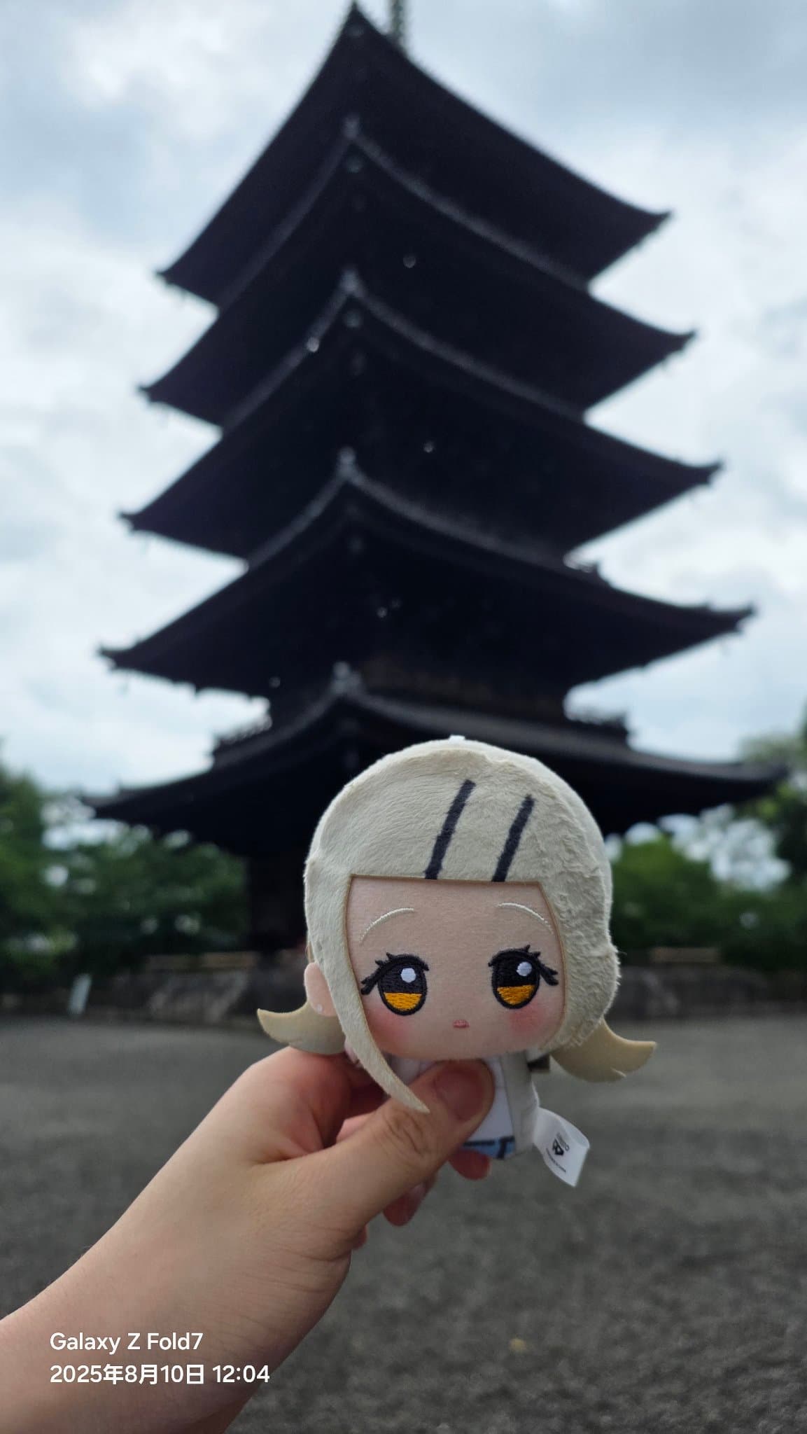 ぬいの写真 16